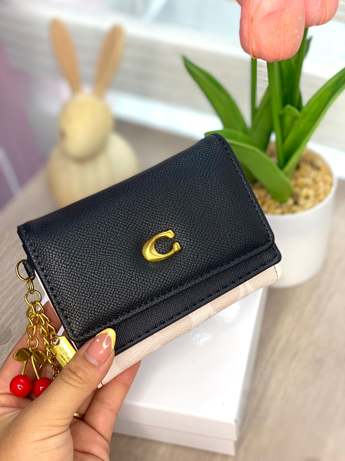Billetera Coach  Logo C