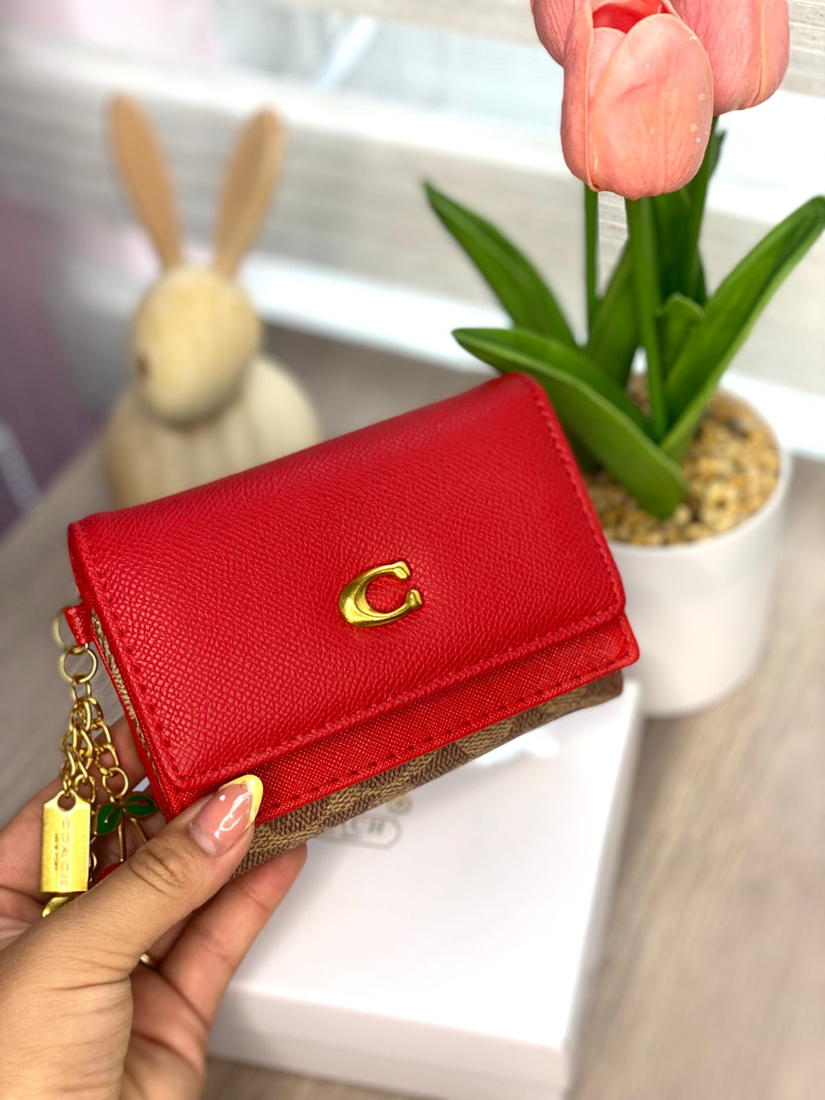 Billetera Coach  Logo C
