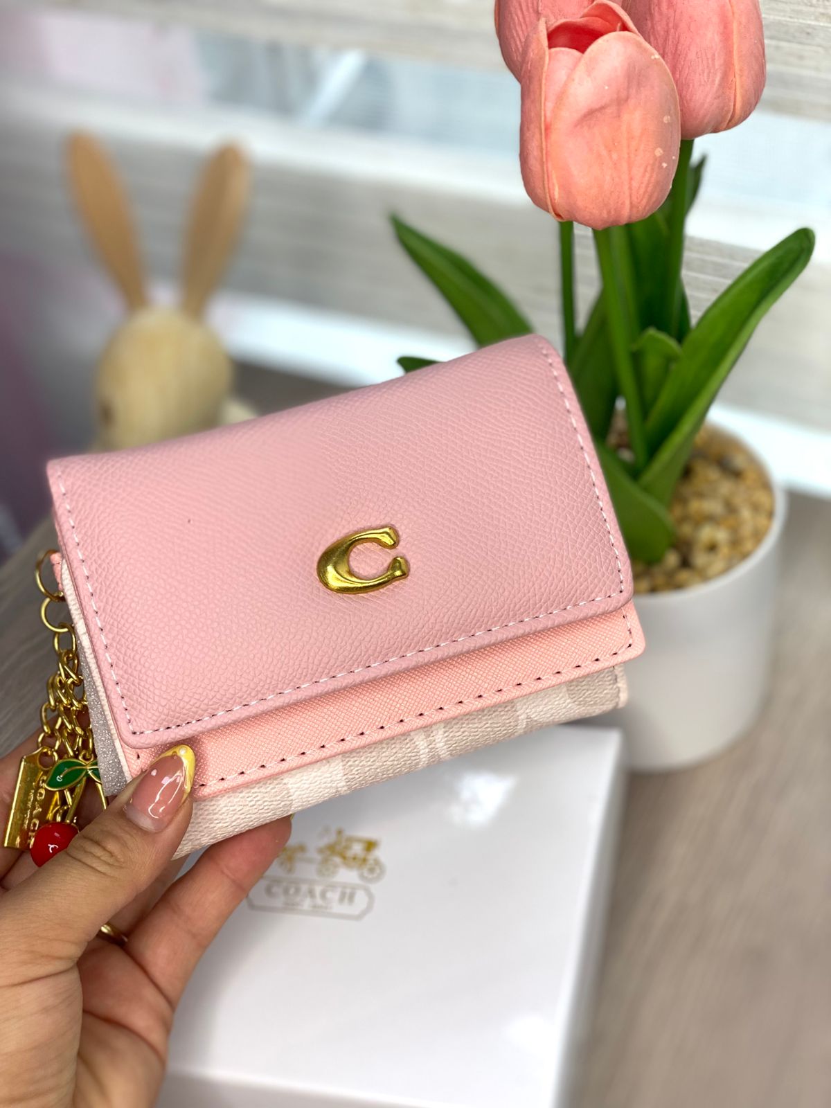 Billetera Coach  Logo C